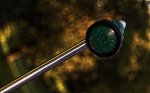 _xGartendusche_IMG_1911_1_vsmall.JPG