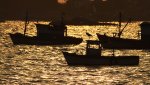 Guaratiba10_comp.jpg