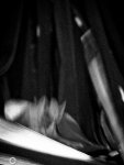 DSCN0074.jpg