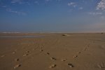 IMG_0435k.jpg