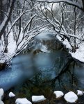 fluss-DSC02811_smal_small_small.jpg