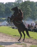 Spectaculum_August_07_087_Pferd.jpg