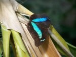 100_0170.jpg