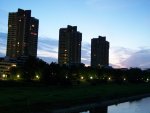 100_0311.jpg