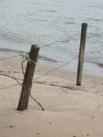 Rhein1.jpg