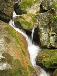 Bild_061x.jpg