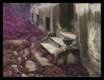the-yard-crop-donji-2a.jpg