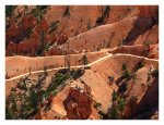 bryce canyon trail.jpg