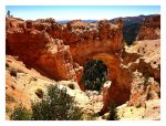 bryce canyon natural bridge.jpg