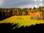 sonnige herbstlichtung.jpg