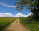 usedom-der weg in die wolken.jpg