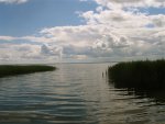 usedom -der bodden.jpg