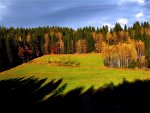 sonnige herbstlichtung.jpg