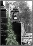 Zentralfriedhof.jpg