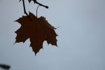 IMG_0211 Kopie.jpg