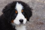 IMG_0647bklein.jpg