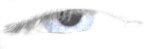 eye.jpg