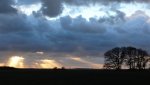 abendstimmung am bodden.jpg