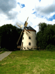 augen1.gif