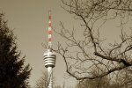 IMG_0447 Kopie1.jpg