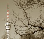 IMG_0447 Kopie2.jpg