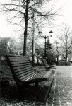 swbankmitfujica.jpg