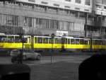 DSCI0068.jpg