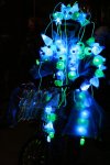 lichter01.jpg