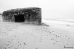 bunker.jpg