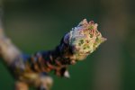 IMG_8913 b900.JPG
