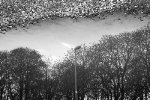 DSCF0780-3-800.jpg