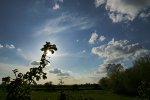 DSC00289.JPG