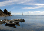 Am-See 2.gif