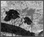 DSCF1447-2.jpg