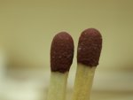 P5081361-Mini.jpg