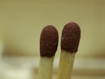 P5081364-Mini.jpg
