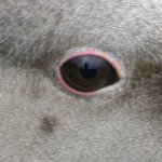 3125-2.jpg