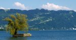 bodensee900.jpg