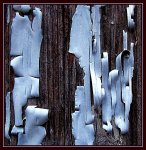 DSCF2772-1.jpg