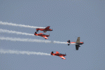 IMG_7661net.gif