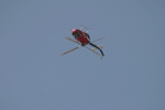 IMG_7923net.gif