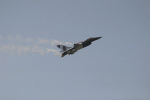 IMG_8162net.gif