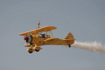 IMG_8317net.gif