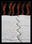 IMG_0085-1f.jpg