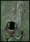 DSCF3186-1.JPG
