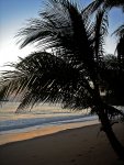 DSC01490_Queensland Sunrise.jpg