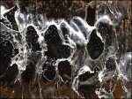 Stillstand des Wasserfalls I.jpg