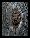 DSCF3871.jpg
