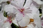 DSC00549.JPG