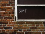 291Fenster2_900-forum.jpg